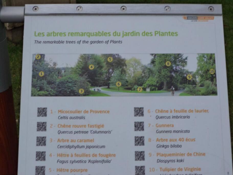 Le Grey-Jardin Des Plantes-Centre Des Congres Apartment Анже Екстериор снимка